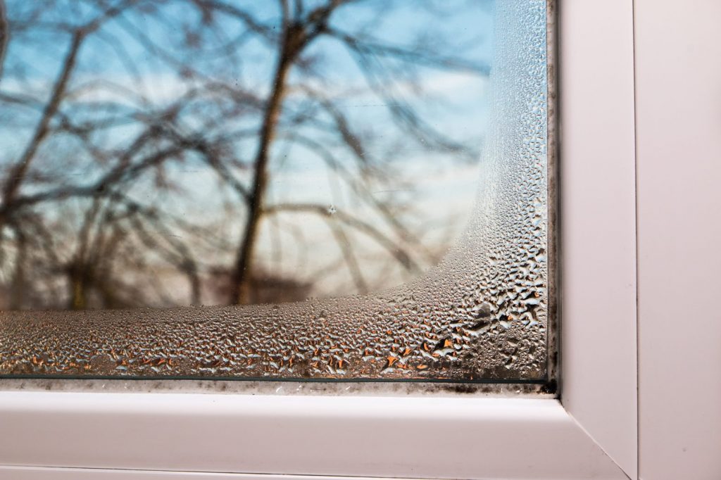 window-condensation